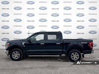 2023 Ford F-150 XLT 4WD SuperCrew 5.5' Box