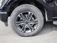 2021 Ford F-150 XLT 4WD SuperCrew 5.5' Box