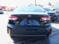 2024 Toyota Corolla LE | Safety Sense | Heated Seats | No Accidents