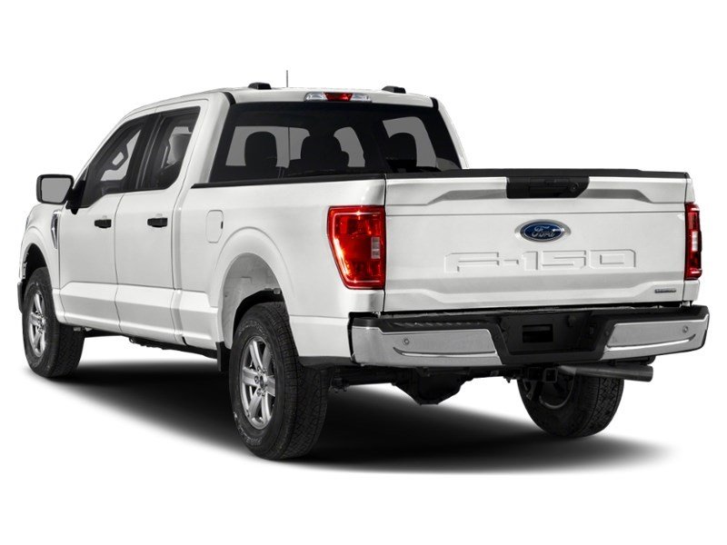 2023 Ford F-150 XLT 4WD SuperCrew 5.5' Box Exterior Shot 9