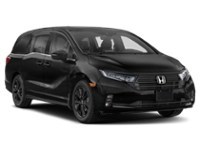 2024 Honda Odyssey Black Edition Auto Exterior Shot 8