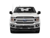 2020 Ford F-150 XLT 4WD SuperCrew 5.5' Box Exterior Shot 6
