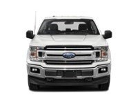 2020 Ford F-150 XLT 4WD SuperCrew 5.5' Box Exterior Shot 6