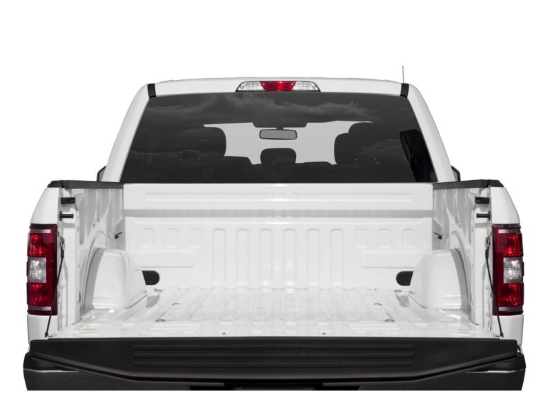 2020 Ford F-150 XLT 4WD SuperCrew 5.5' Box Exterior Shot 4