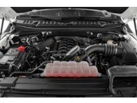 2020 Ford F-150 XLT 4WD SuperCrew 5.5' Box Exterior Shot 3