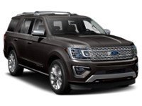 2020 Ford Expedition Platinum 4x4 Exterior Shot 8