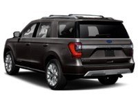 2020 Ford Expedition Platinum 4x4 Exterior Shot 9