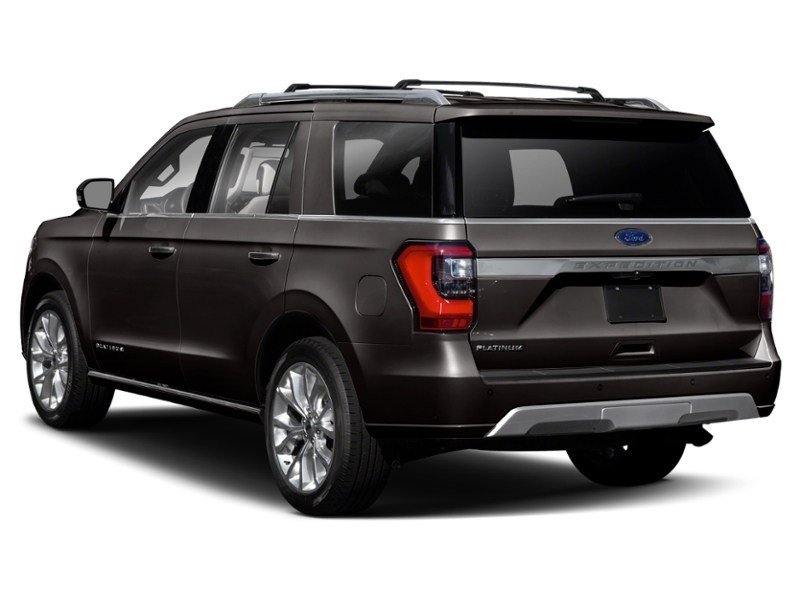 2020 Ford Expedition Platinum 4x4 Exterior Shot 9