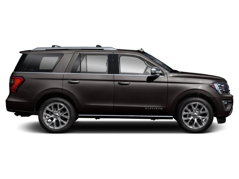 2020 Ford Expedition Platinum 4x4 Exterior Shot 10