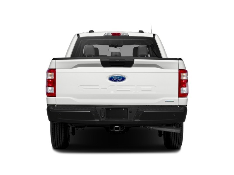 2022 Ford F-150 XLT | 4X4 | 3.3L | TOW | RUN BRDS | TLGT STEP Exterior Shot 7