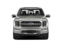 2023 Ford F-150 Platinum 4WD SuperCrew 5.5' Box Exterior Shot 5
