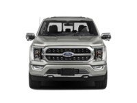 2023 Ford F-150 Platinum 4WD SuperCrew 5.5' Box Exterior Shot 5