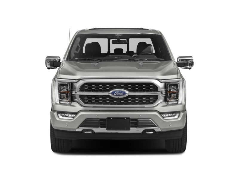 2023 Ford F-150 Platinum 4WD SuperCrew 5.5' Box Exterior Shot 5