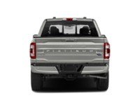 2023 Ford F-150 Platinum 4WD SuperCrew 5.5' Box Exterior Shot 7