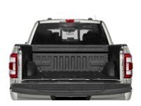 2023 Ford F-150 Platinum 4WD SuperCrew 5.5' Box Exterior Shot 4