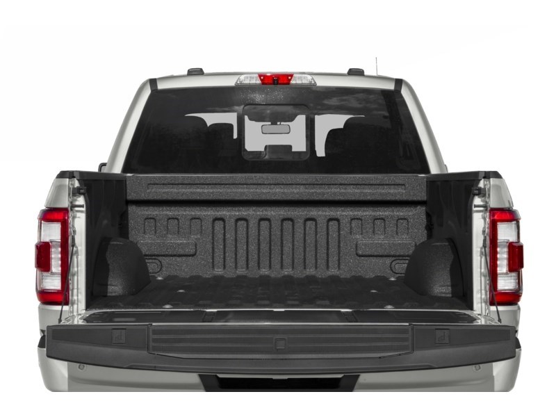 2023 Ford F-150 Platinum 4WD SuperCrew 5.5' Box Exterior Shot 4