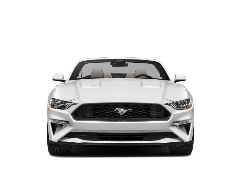 2022 Ford Mustang EcoBoost Convertible Exterior Shot 5