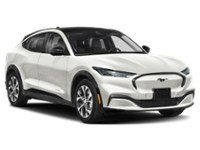 2023 Ford Mustang Mach-E Premium AWD Exterior Shot 8