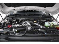 2024 Ford Super Duty F-350 DRW Platinum 4WD Crew Cab 8' Box Exterior Shot 3