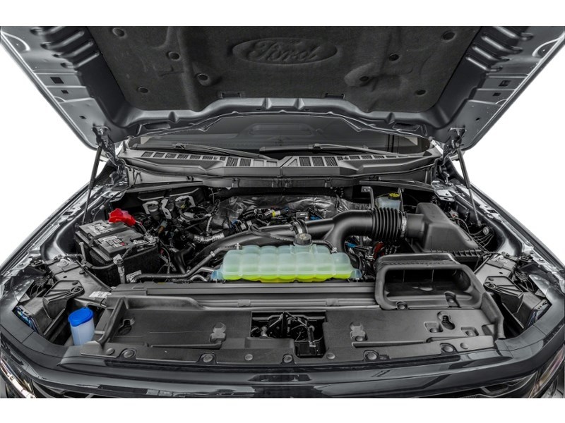 2025 Ford F-150 XLT | 4X4 | 2.7L | 302A | BLK PKG PLS | BED UTL Exterior Shot 3