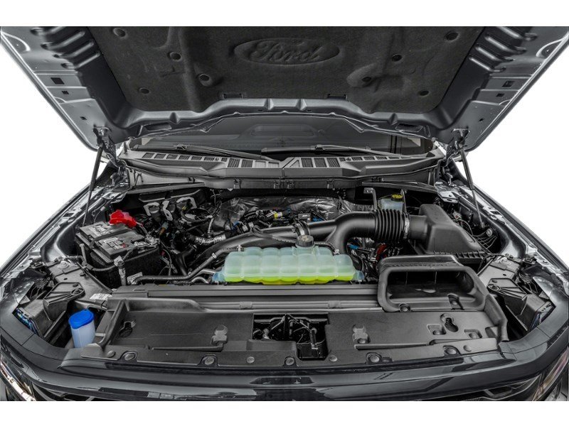2025 Ford F-150 XLT 4WD SuperCrew 5.5' Box Exterior Shot 3