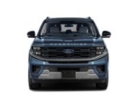 2026 Ford Expedition Platinum 4x4 Exterior Shot 5