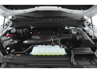 2026 Ford F-150 Raptor 4WD SuperCrew 5.5' Box Exterior Shot 3