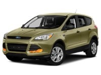 2013 Ford Escape FWD 4dr SE Ginger Ale Metallic  Shot 19