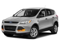 2013 Ford Escape 4WD 4dr SEL Ingot Silver Metallic  Shot 49