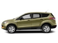 2013 Ford Escape FWD 4dr SE Ginger Ale Metallic  Shot 21
