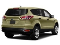 2013 Ford Escape FWD 4dr SE Ginger Ale Metallic  Shot 20