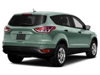 2013 Ford Escape FWD 4dr SE Frosted Glass Metallic  Shot 30