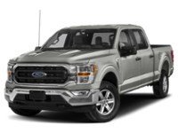 2023 Ford F-150 XLT 4WD SuperCrew 5.5' Box Iconic Silver Metallic  Shot 38