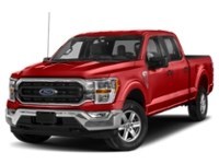2023 Ford F-150 XLT 4WD SuperCrew 5.5' Box Race Red  Shot 51