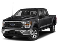 2023 Ford F-150 XLT | 4X4 | 5.0L | 157 | 360 | ADPTV CRUISE | 20s Agate Black Metallic  Shot 4