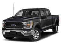 2023 Ford F-150 XLT 4WD SuperCrew 5.5' Box