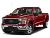 2023 Ford F-150 XLT 4WD SuperCrew 5.5' Box Hot Pepper Red Tinted Clearcoat  Shot 79