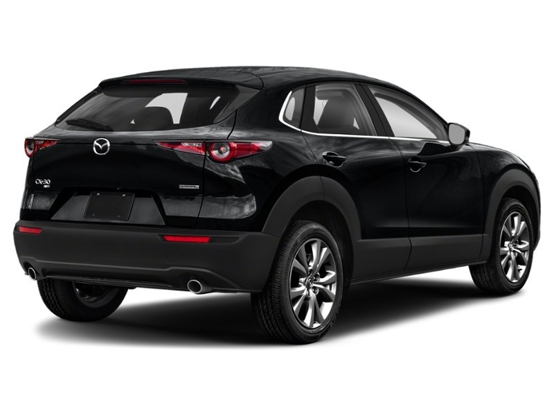 2020 Mazda CX-30 GS LUXURY/SUNROOF/LEATHER/1 OWNER Jet Black Mica  Shot 6