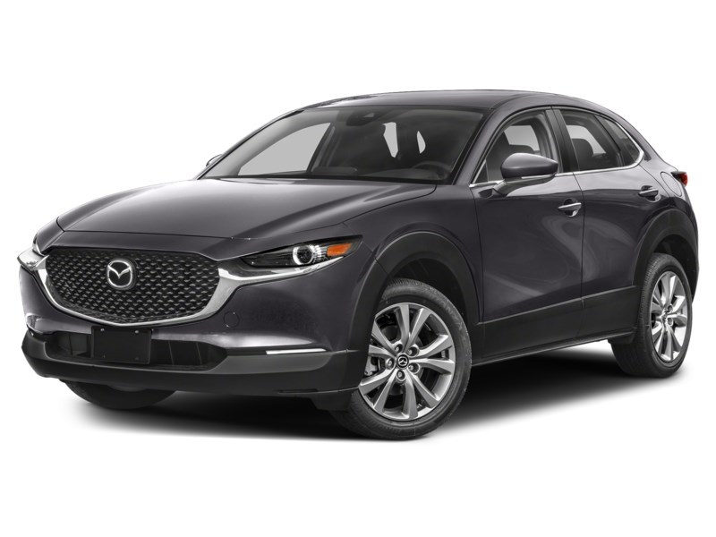 2024 Mazda CX-30 GS AWD Machine Grey Metallic  Shot 25