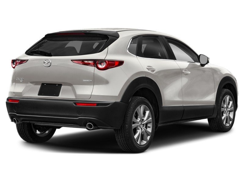 2023 Mazda CX-30 GS AWD Platinum Quartz Metallic  Shot 6