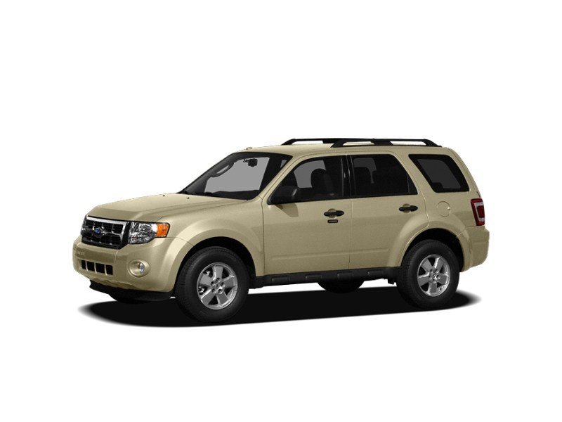 2010 Ford Escape FWD 4dr V6 Auto XLT Gold Leaf Metallic  Shot 6