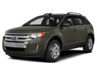 2014 Ford Edge 4dr SEL AWD Mineral Grey  Shot 25