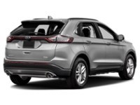 2015 Ford Edge SEL Ingot Silver Metallic  Shot 6
