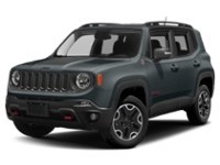 2016 Jeep Renegade 4WD 4dr Trailhawk Anvil  Shot 16