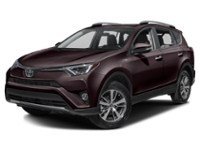 2017 Toyota RAV4 AWD 4dr XLE Black Currant Metallic  Shot 16