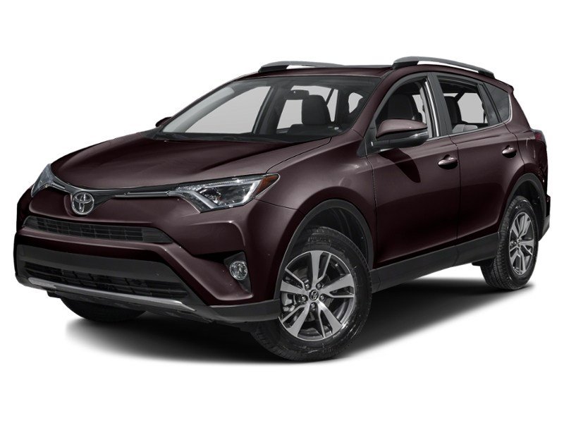 2017 Toyota RAV4 AWD 4dr XLE Black Currant Metallic  Shot 16