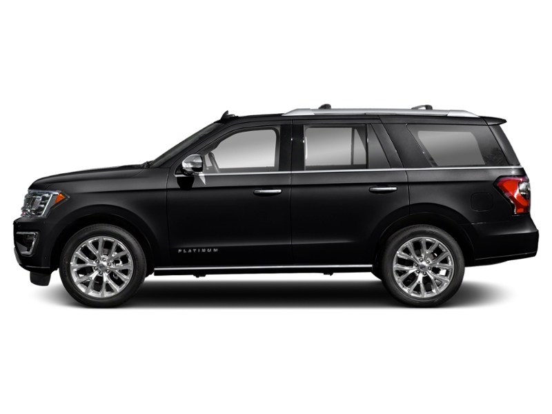 2020 Ford Expedition Platinum 4x4 Agate Black  Shot 34