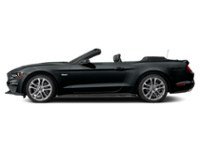 2022 Ford Mustang GT Premium Convertible Shadow Black  Shot 15
