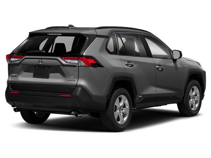 2019 Toyota RAV4 Hybrid AWD Hybrid LE Magnetic Grey Metallic  Shot 2