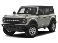 2021 Ford Bronco Badlands 4 Door Advanced 4x4 Iconic Silver Metallic  Shot 31